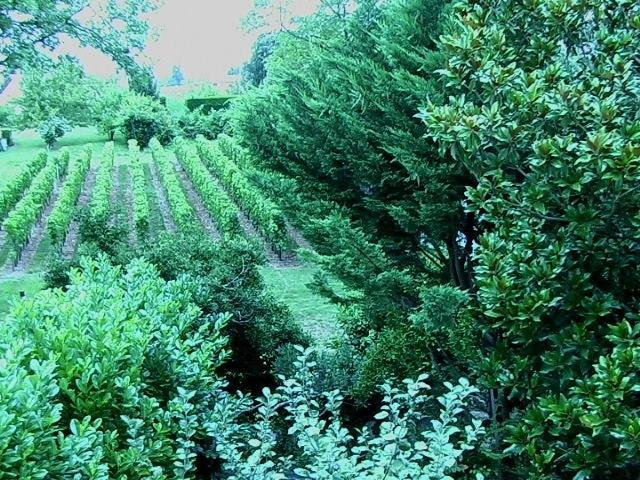 Les Id De Saint Emilion Acomodação com café da manhã Exterior foto